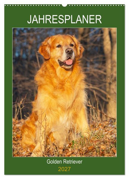 Jahresplaner Golden Retriever (Wandkalender 2027 DIN A2 hoch) CALVENDO Monatskalender