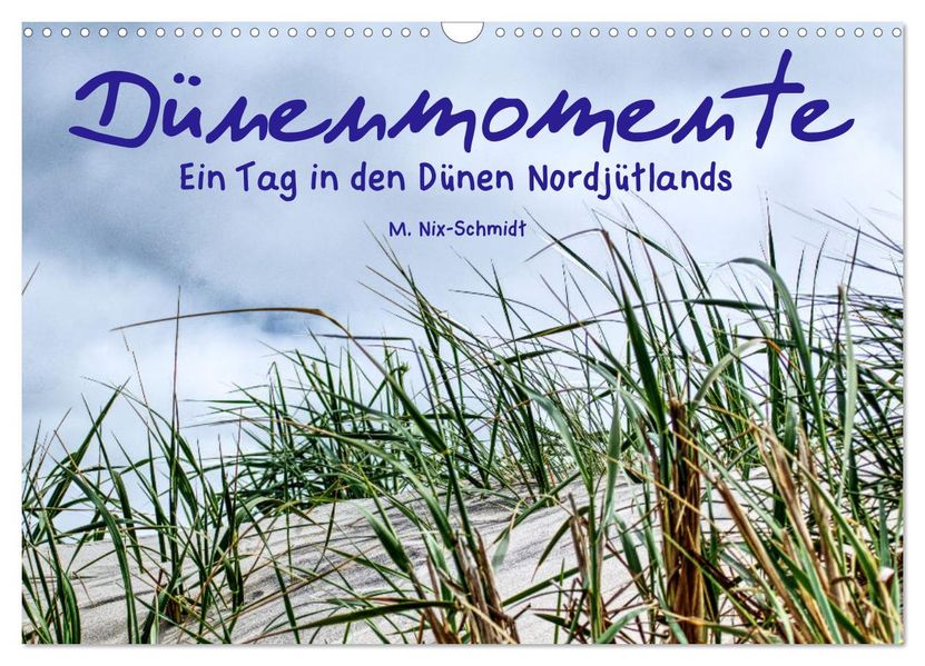 Dünenmomente - Ein Tag in den Dünen Nordjütlands (Wandkalender 2027 DIN A3 quer) CALVENDO Monatskalender