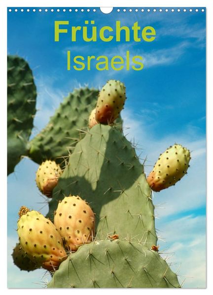 Früchte Israels (Wandkalender 2027 DIN A3 hoch) CALVENDO Monatskalender