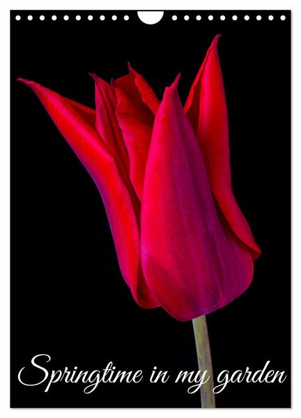Springtime in my garden (Wall Calendar 2027 DIN A4 portrait) CALVENDO 12 Month Wall Calendar