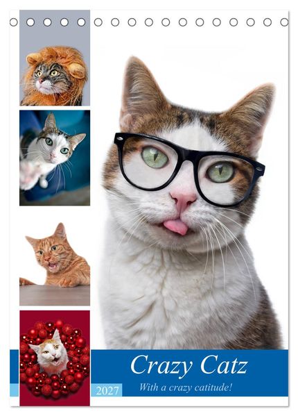 Crazy Catz. (Tischkalender 2027 DIN A5 hoch) CALVENDO Monatskalender