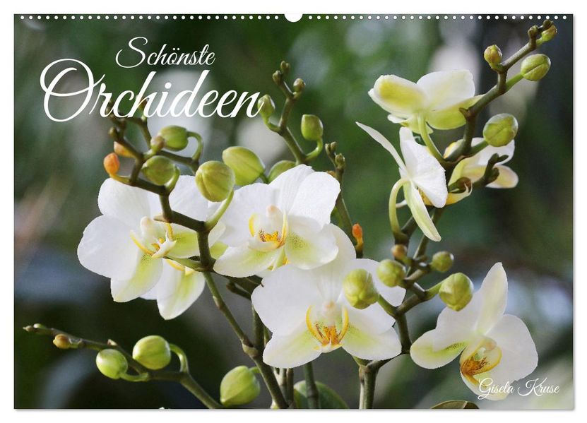 Schönste Orchideen (Wandkalender 2027 DIN A2 quer) CALVENDO Monatskalender