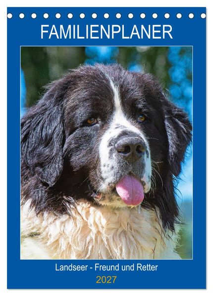 Familienplaner Landseer - Freund und Retter (Tischkalender 2027 DIN A5 hoch) CALVENDO Monatskalender