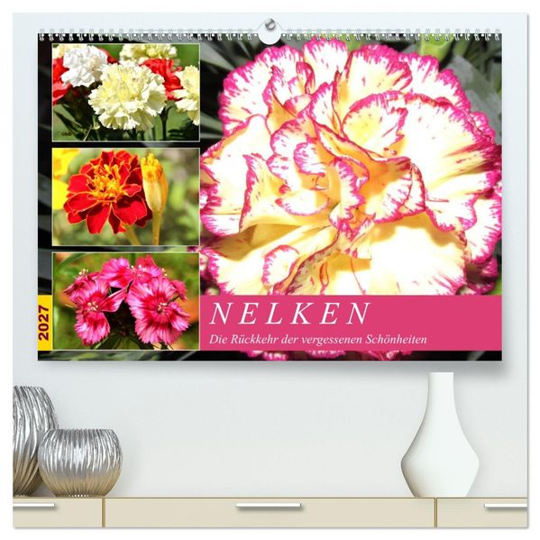 Nelken. Die Rückkehr der vergessenen Schönheiten (hochwertiger Premium Wandkalender 2027 DIN A2 quer) Kunstdruck in Hochglanz