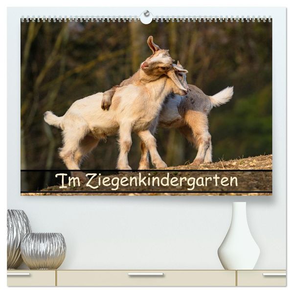 Im Ziegenkindergarten (hochwertiger Premium Wandkalender 2027 DIN A2 quer) Kunstdruck in Hochglanz