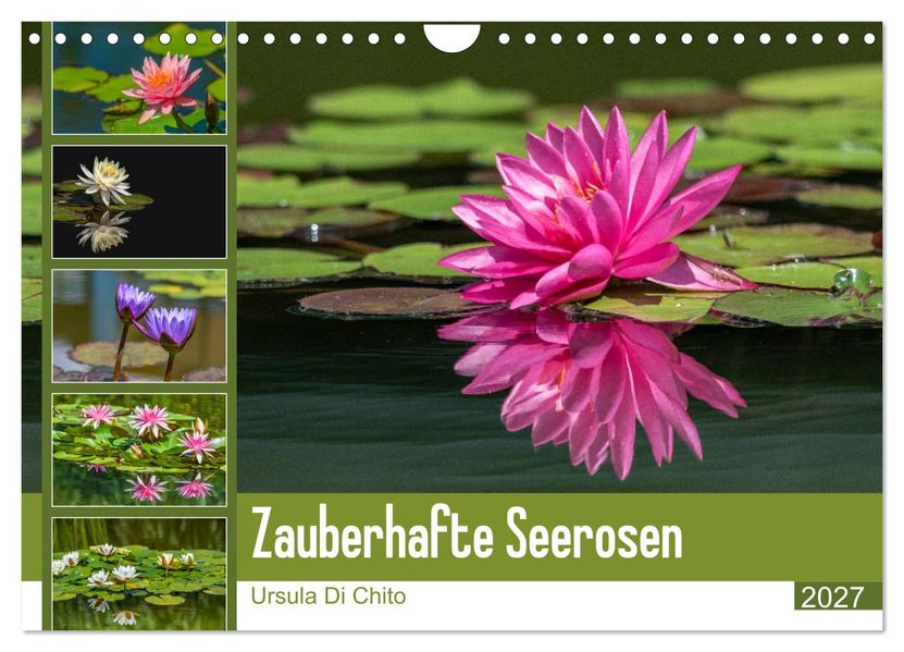 Zauberhafte Seerosen (Wandkalender 2027 DIN A4 quer) CALVENDO Monatskalender