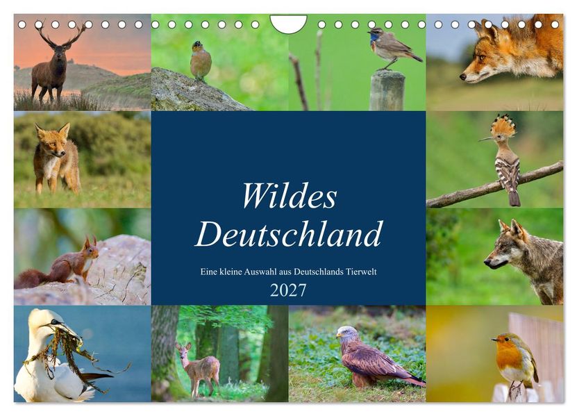 Wildes Deutschland (Wandkalender 2027 DIN A4 quer) CALVENDO Monatskalender
