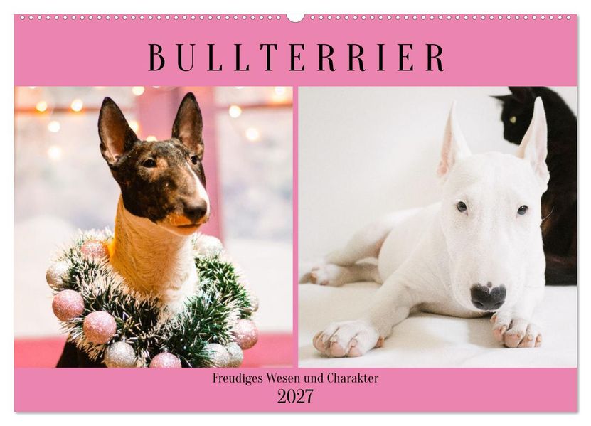 Bullterrier. Freudiges Wesen und Charakter (Wandkalender 2027 DIN A2 quer) CALVENDO Monatskalender