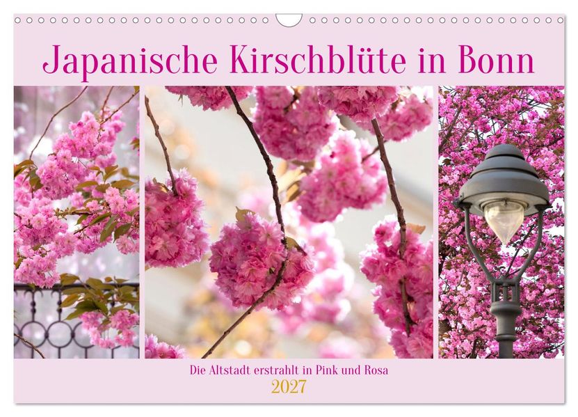 Japanische Kirschblüte in Bonn (Wandkalender 2027 DIN A3 quer) CALVENDO Monatskalender