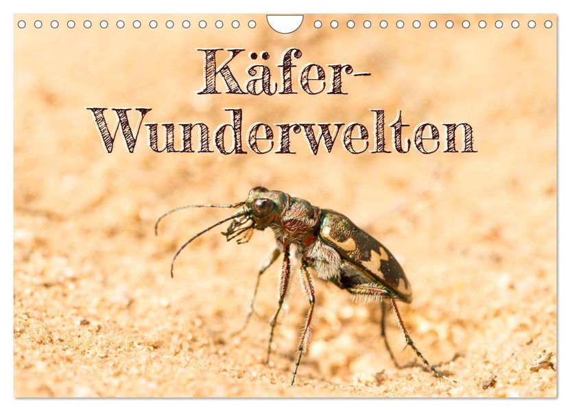 Käfer-Wunderwelten (Wandkalender 2027 DIN A4 quer) CALVENDO Monatskalender