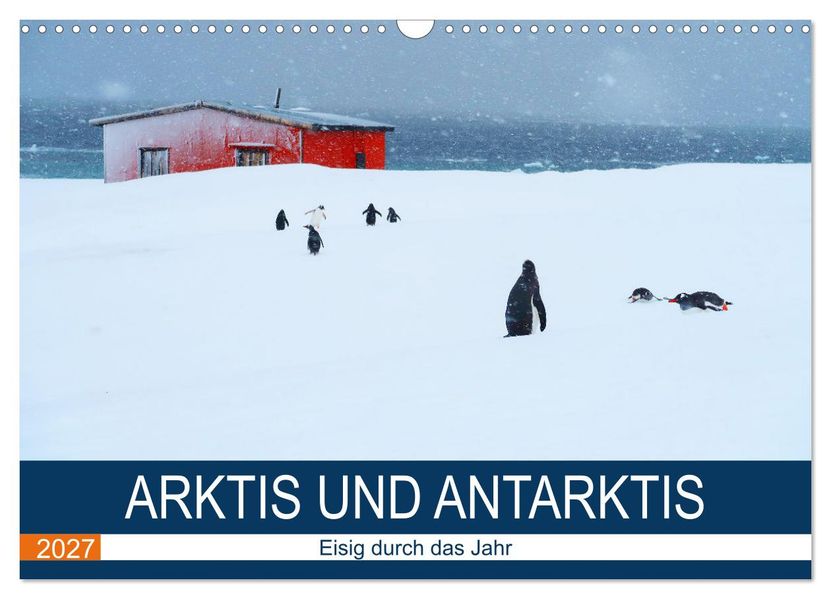 Arktis und Antarktis - Eisig durch das Jahr (Wandkalender 2027 DIN A3 quer) CALVENDO Monatskalender