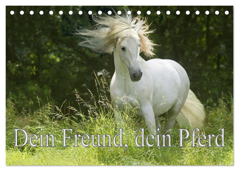 Dein Freund dein Pferd (Tischkalender 2027 DIN A5 quer) CALVENDO Monatskalender