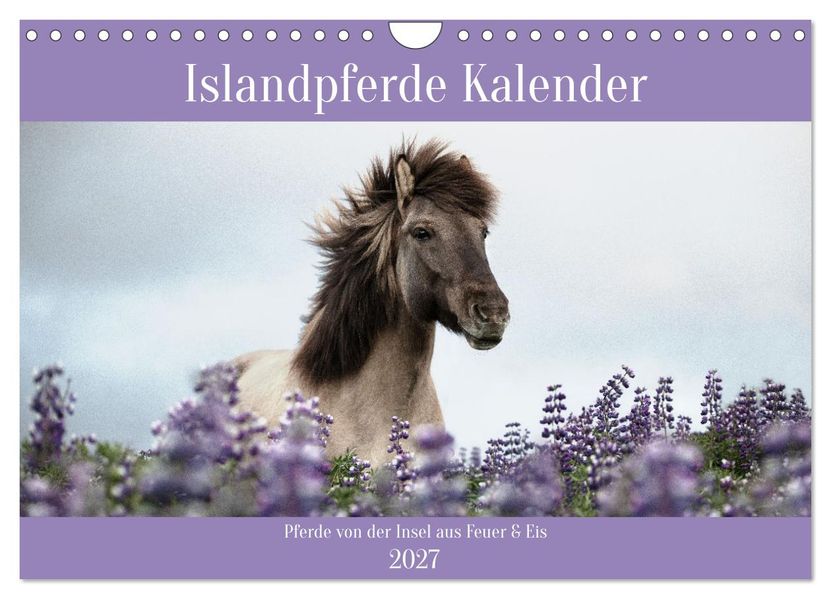Islandpferde Kalender (Wandkalender 2027 DIN A4 quer) CALVENDO Monatskalender