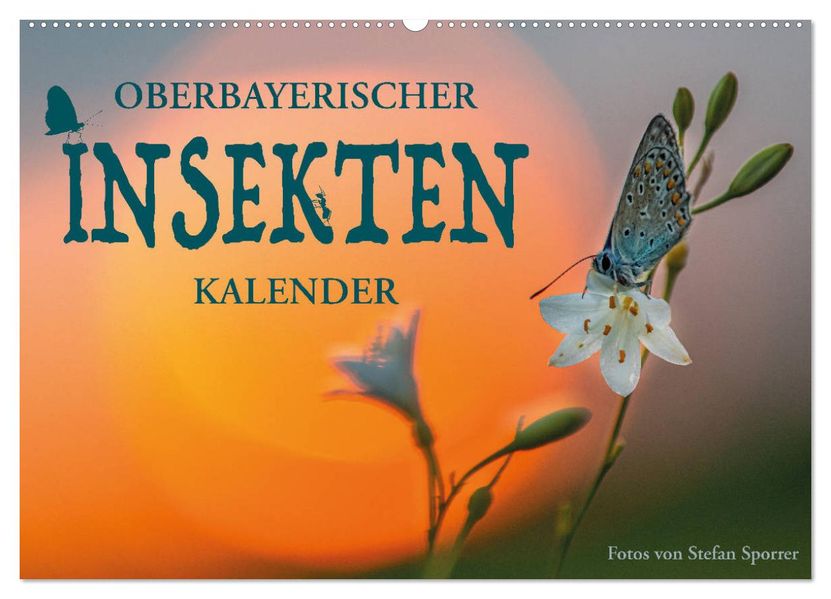Oberbayerischer Insekten Kalender (Wandkalender 2027 DIN A2 quer) CALVENDO Monatskalender