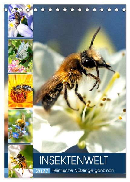 INSEKTENWELT - Heimische Nützlinge ganz nah (Tischkalender 2027 DIN A5 hoch) CALVENDO Monatskalender