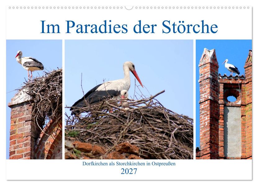 Im Paradies der Störche - Dorfkirchen als Storchkirchen in Ostpreußen (Wandkalender 2027 DIN A2 quer) CALVENDO Monatskalender