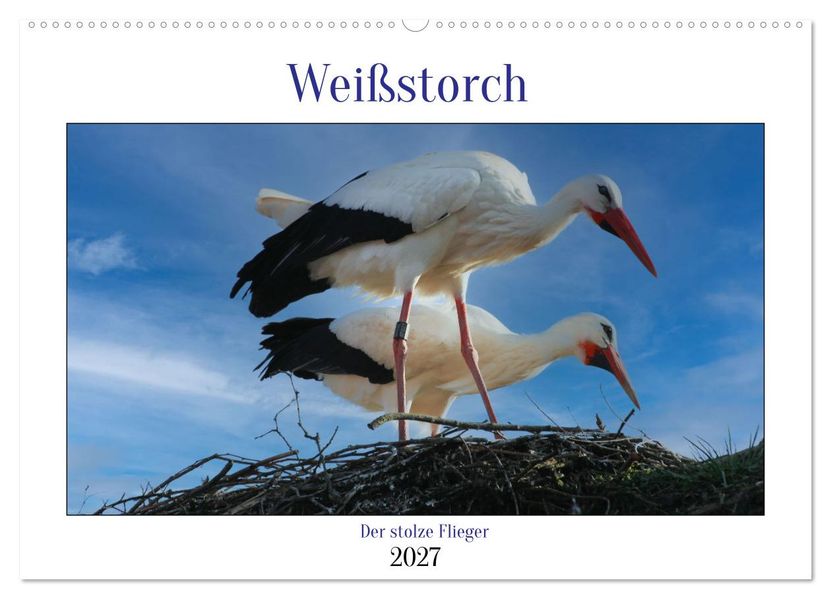 Weißstorch der stolze Flieger (Wandkalender 2027 DIN A2 quer) CALVENDO Monatskalender