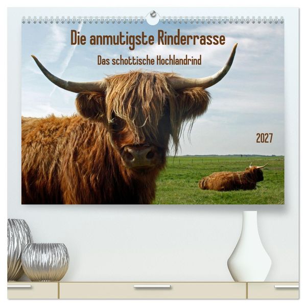 Die anmutigste Rinderrasse - Das schottische Hochlandrind (hochwertiger Premium Wandkalender 2027 DIN A2 quer) Kunstdruck in Hochglanz