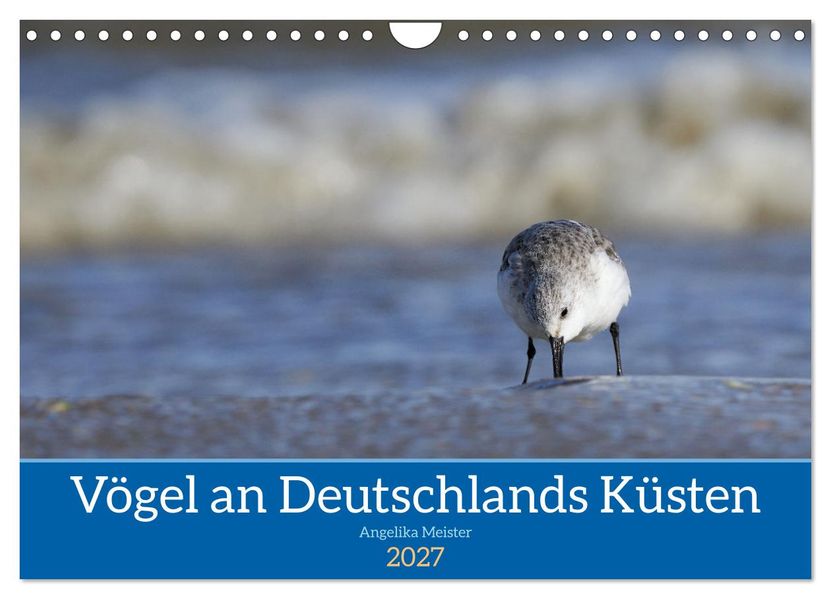 Vögel an Deutschlands Küsten (Wandkalender 2027 DIN A4 quer) CALVENDO Monatskalender