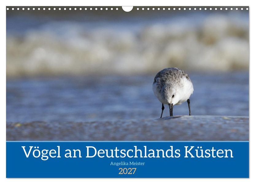 Vögel an Deutschlands Küsten (Wandkalender 2027 DIN A3 quer) CALVENDO Monatskalender