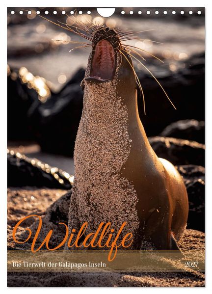 Wildlife - Die Tierwelt der Galapagos Inseln (Wandkalender 2027 DIN A4 hoch) CALVENDO Monatskalender