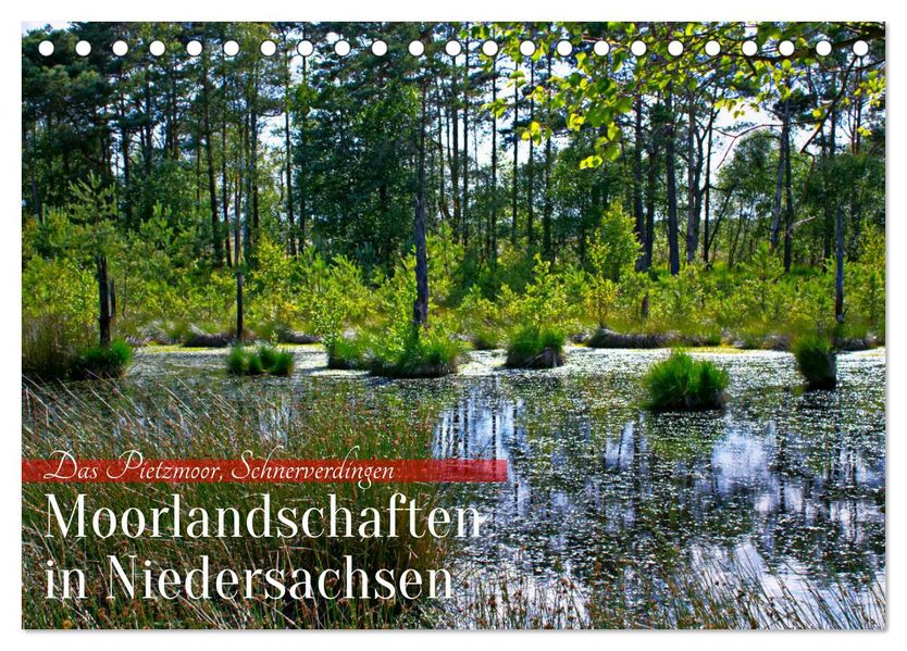 Niedersachsens Moorlandschaften - Das Pietzmoor Schneverdingen (Tischkalender 2027 DIN A5 quer) CALVENDO Monatskalender