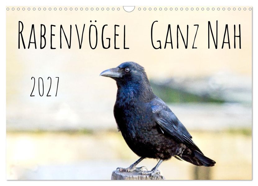 Rabenvögel - ganz nah (Wandkalender 2027 DIN A3 quer) CALVENDO Monatskalender