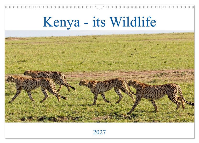 Kenya - its Wildlife (Wall Calendar 2027 DIN A3 landscape) CALVENDO 12 Month Wall Calendar
