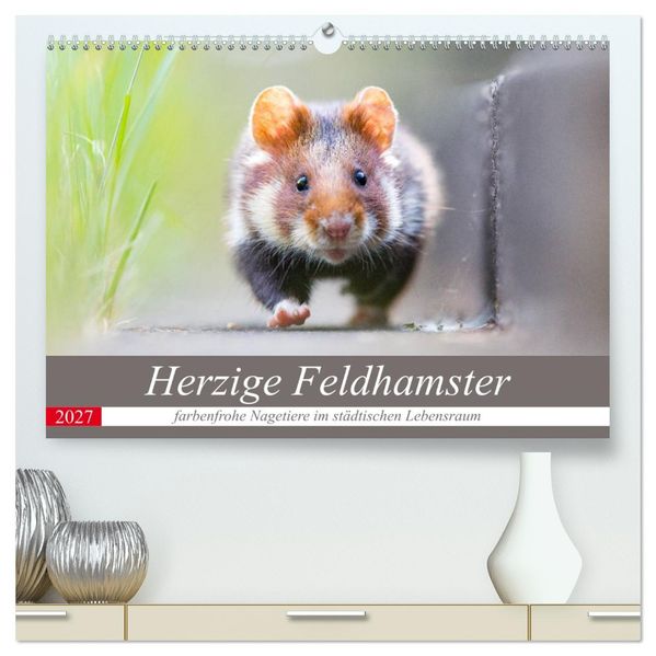 Herzige Feldhamster - farbenfrohe Nagetiere im städtischen Lebensraum (hochwertiger Premium Wandkalender 2027 DIN A2 quer) Kunstdruck in Hochglanz