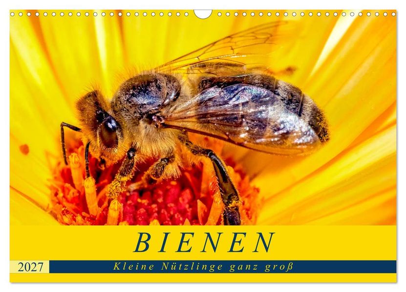 BIENEN - Kleine Nützlinge ganz groß (Wandkalender 2027 DIN A3 quer) CALVENDO Monatskalender