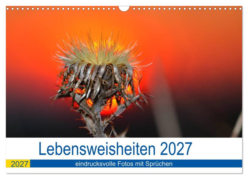 Lebensweisheiten 2027 (Wandkalender 2027 DIN A3 quer) CALVENDO Monatskalender
