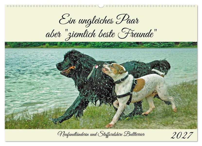 Ein ungleiches Paar aber 'ziemlich beste Freunde' (Wandkalender 2027 DIN A2 quer) CALVENDO Monatskalender