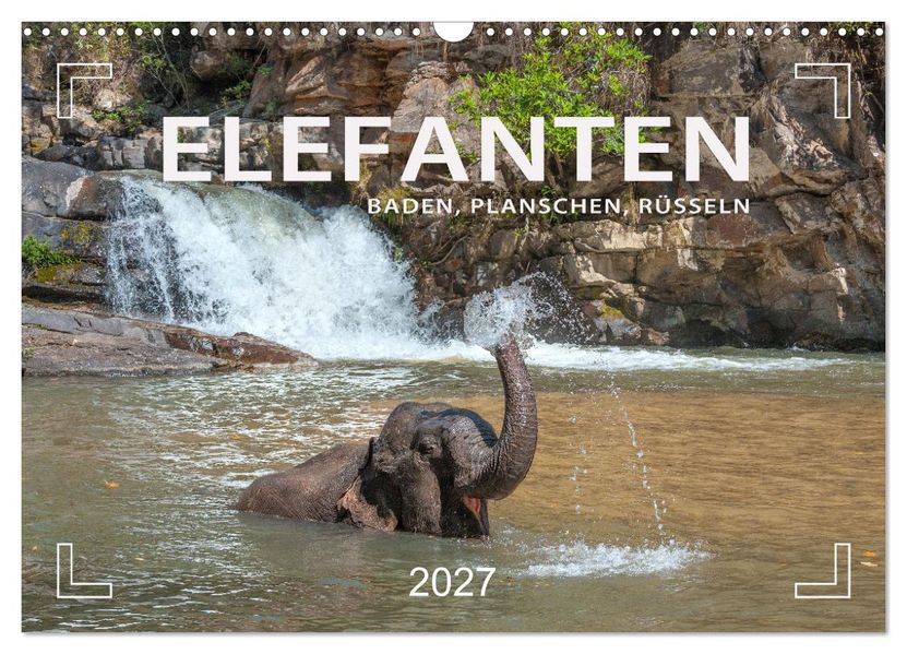 Elefanten - Baden Planschen Rüsseln (Wandkalender 2027 DIN A3 quer) CALVENDO Monatskalender