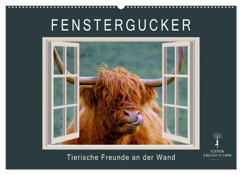 Fenstergucker - tierische Freunde an der Wand (Wandkalender 2027 DIN A2 quer) CALVENDO Monatskalender