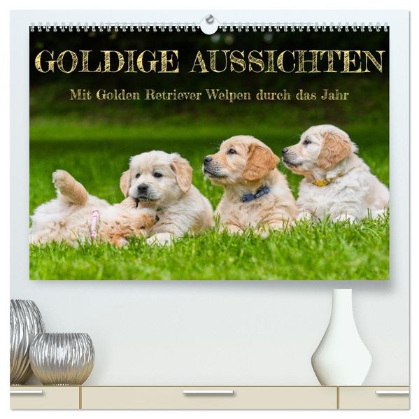 Goldige Aussichten - Mit Golden Retriever Welpen durch das Jahr (hochwertiger Premium Wandkalender 2027 DIN A2 quer) Kunstdruck in Hochglanz