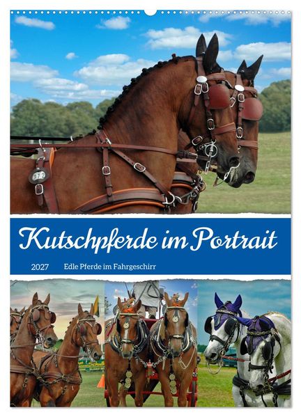 Kutschpferde im Portait (Wandkalender 2027 DIN A2 hoch) CALVENDO Monatskalender
