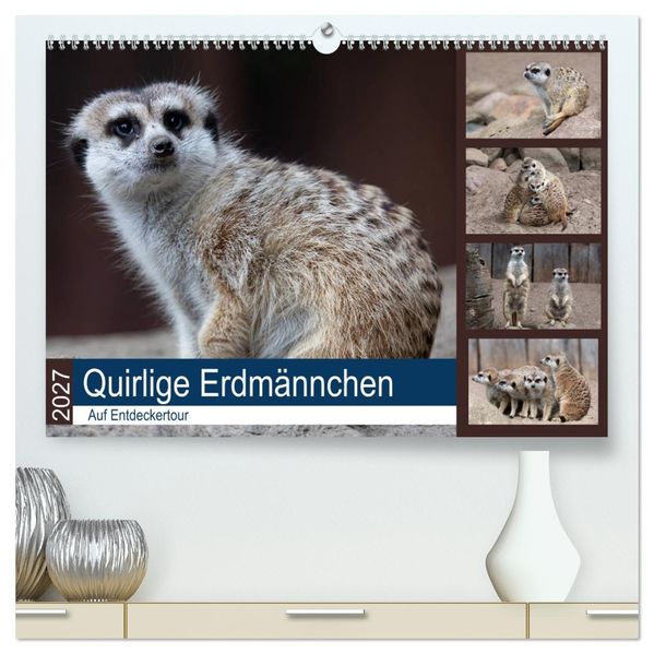Quirlige Erdmännchen (hochwertiger Premium Wandkalender 2027 DIN A2 quer) Kunstdruck in Hochglanz