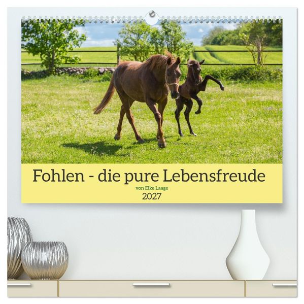 Fohlen - die pure Lebensfreude (hochwertiger Premium Wandkalender 2027 DIN A2 quer) Kunstdruck in Hochglanz