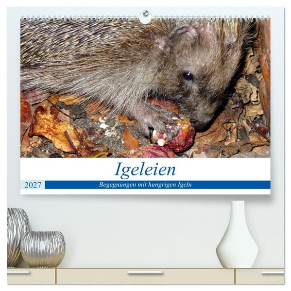 Igeleien - Begegnungen mit hungrigen Igeln (hochwertiger Premium Wandkalender 2027 DIN A2 quer) Kunstdruck in Hochglanz
