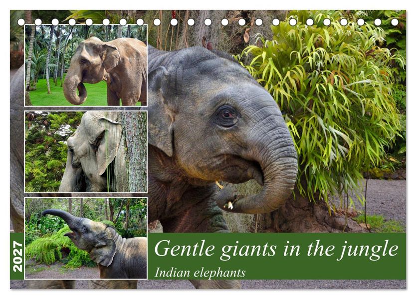 Gentle giants in the jungle (Desk Calendar 2027 DIN A5 landscape) CALVENDO 12 Month DeskCalendar