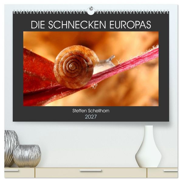 DIE SCHNECKEN EUROPAS (hochwertiger Premium Wandkalender 2027 DIN A2 quer) Kunstdruck in Hochglanz