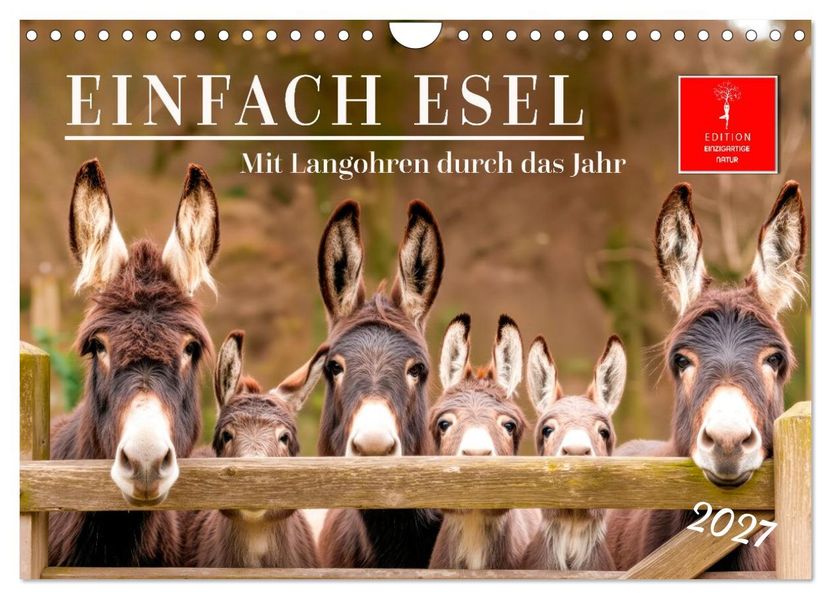 Einfach Esel - Mit Langohren durch das Jahr (Wandkalender 2027 DIN A4 quer) CALVENDO Monatskalender