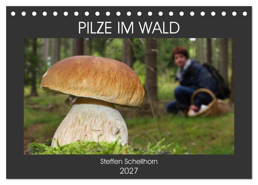 PILZE IM WALD (Tischkalender 2027 DIN A5 quer) CALVENDO Monatskalender