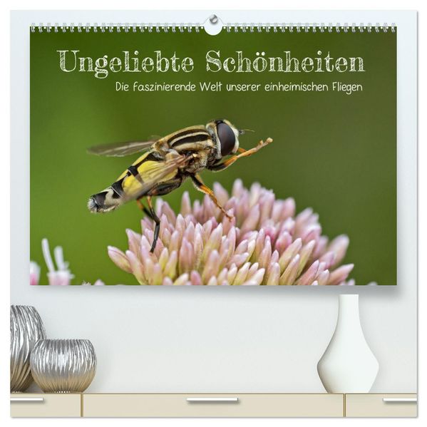 Ungeliebte Schönheiten - die faszinierende Welt unserer heimischen Fliegen (hochwertiger Premium Wandkalender 2027 DIN A2 quer) Kunstdruck in Hochglanz