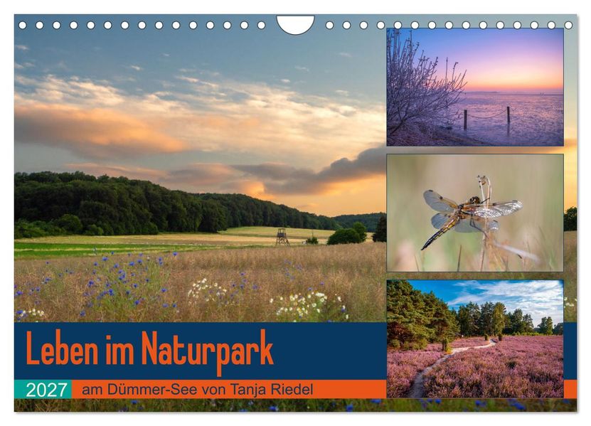 Leben am Naturpark um den Dümmer See (Wandkalender 2027 DIN A4 quer) CALVENDO Monatskalender