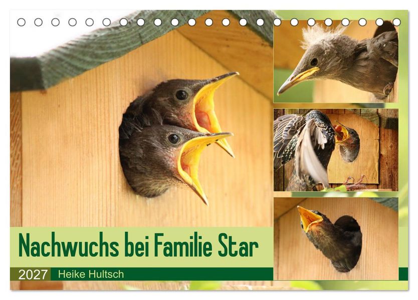 Nachwuchs bei Familie Star (Tischkalender 2027 DIN A5 quer) CALVENDO Monatskalender