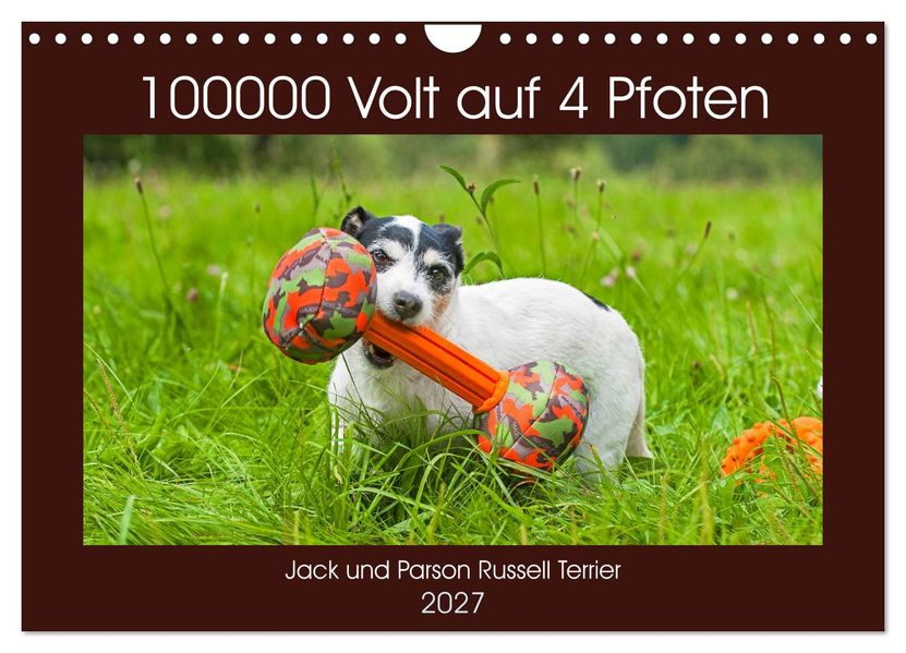 100000 Volt auf vier Pfoten - Jack und Parson Russell Terrier (Wandkalender 2027 DIN A4 quer) CALVENDO Monatskalender