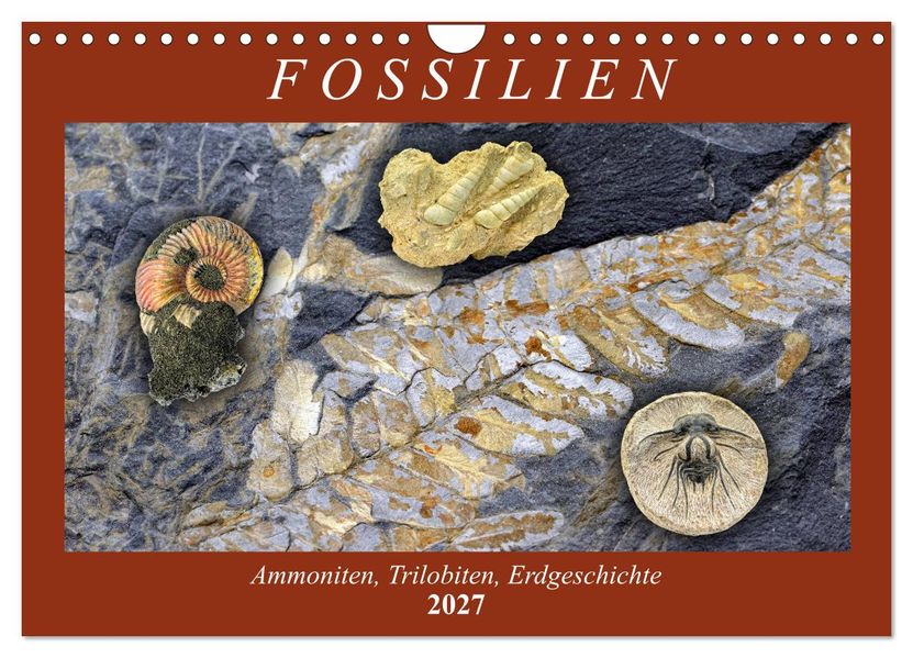 Fossilien - Ammoniten Trilobiten Erdgeschichte (Wandkalender 2027 DIN A4 quer) CALVENDO Monatskalender