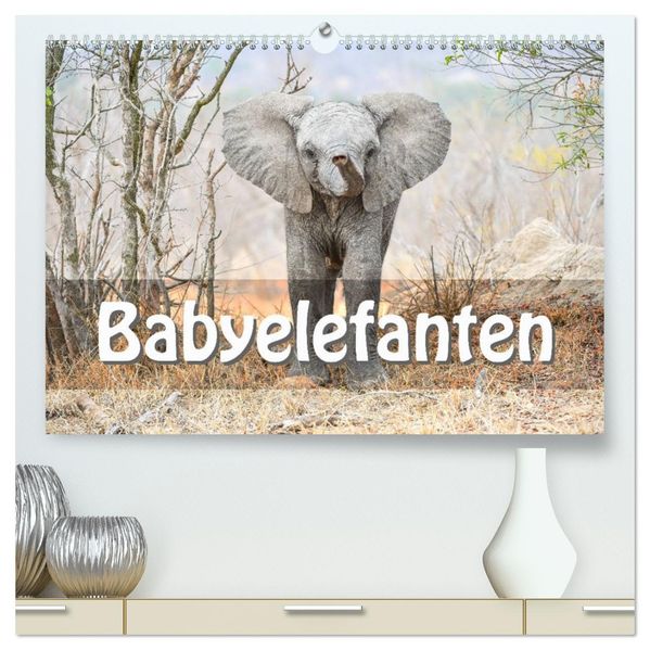 Babyelefanten (hochwertiger Premium Wandkalender 2027 DIN A2 quer) Kunstdruck in Hochglanz