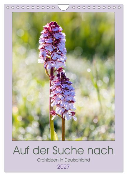 Auf der Suche nach Orchideen in Deutschland (Wandkalender 2027 DIN A4 hoch) CALVENDO Monatskalender